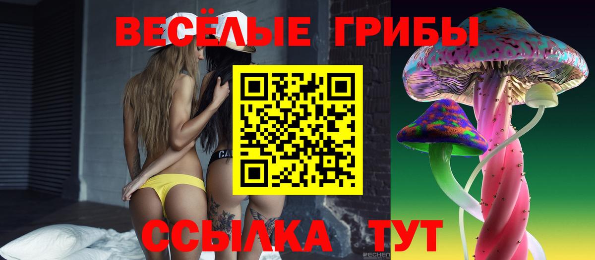 Галлюциногенные грибы Psilocybe  Вход с VPN  Гатчина 